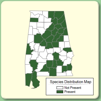 Species Distribution Map