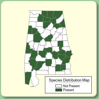 Species Distribution Map