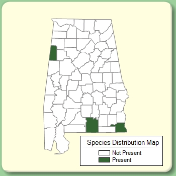 Species Distribution Map