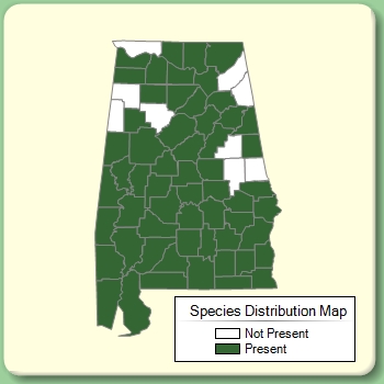 Species Distribution Map