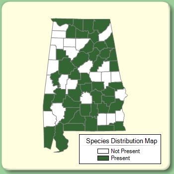 Species Distribution Map