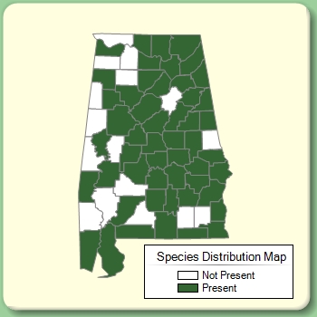 Species Distribution Map