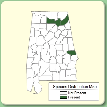 Species Distribution Map