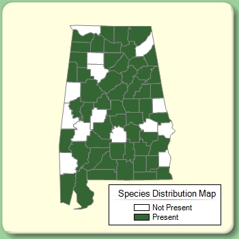 Species Distribution Map