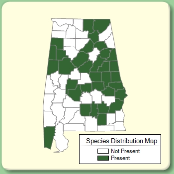 Species Distribution Map