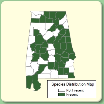 Species Distribution Map