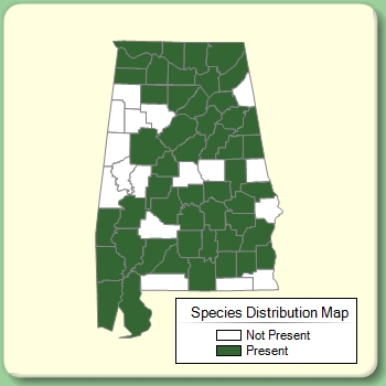 Species Distribution Map