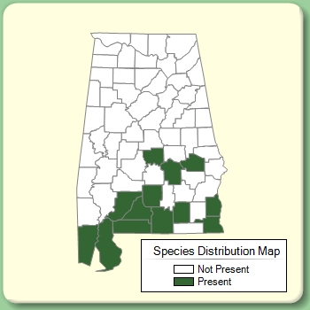 Species Distribution Map