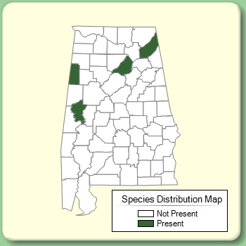 Species Distribution Map