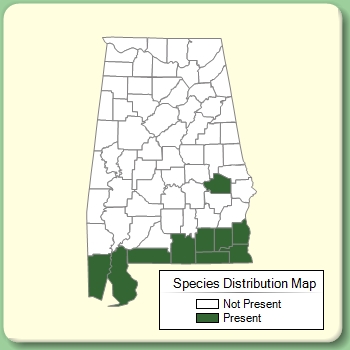 Species Distribution Map