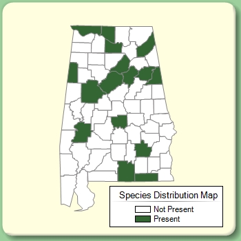 Species Distribution Map