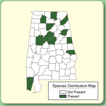 Species Distribution Map