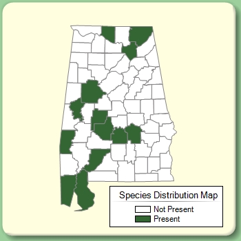 Species Distribution Map