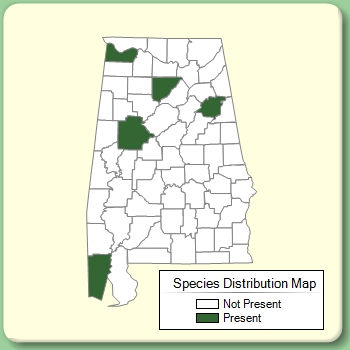 Species Distribution Map