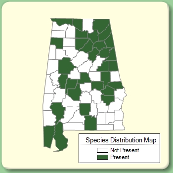 Species Distribution Map