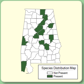 Species Distribution Map