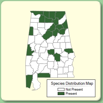 Species Distribution Map