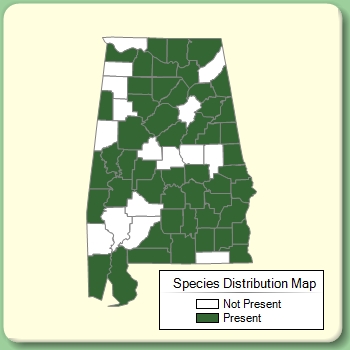 Species Distribution Map