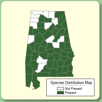 Species Distribution Map