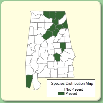 Species Distribution Map