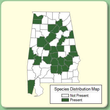 Species Distribution Map