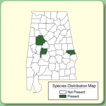 Species Distribution Map