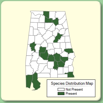 Species Distribution Map