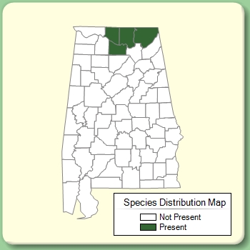 Species Distribution Map