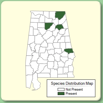 Species Distribution Map