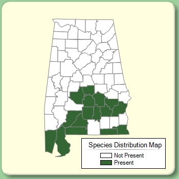 Species Distribution Map