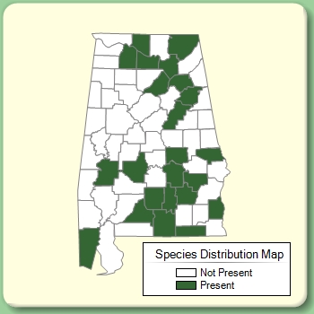 Species Distribution Map