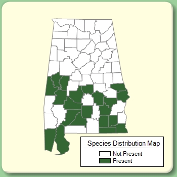 Species Distribution Map