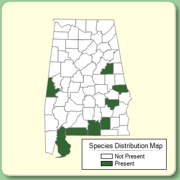 Species Distribution Map