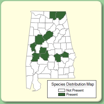 Species Distribution Map