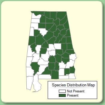 Species Distribution Map