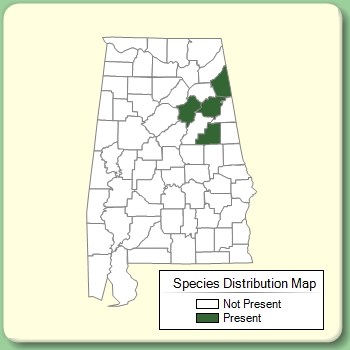 Species Distribution Map