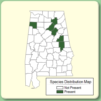 Species Distribution Map