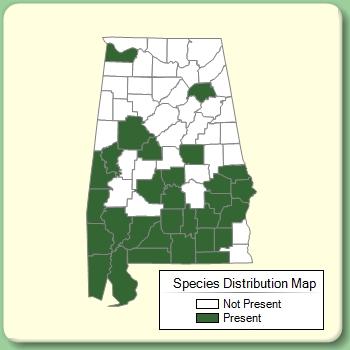 Species Distribution Map