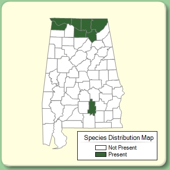 Species Distribution Map