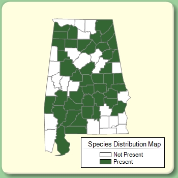 Species Distribution Map