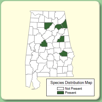 Species Distribution Map