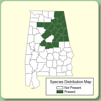 Species Distribution Map