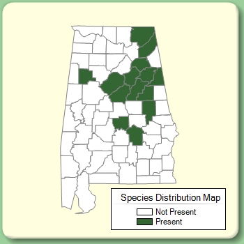 Species Distribution Map