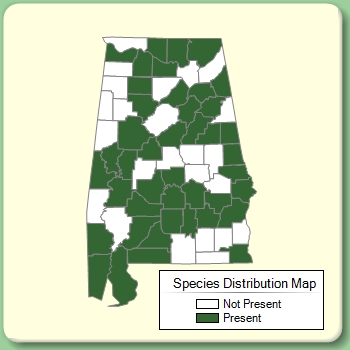 Species Distribution Map