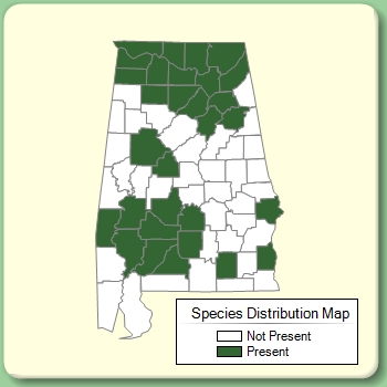 Species Distribution Map