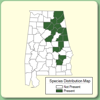 Species Distribution Map