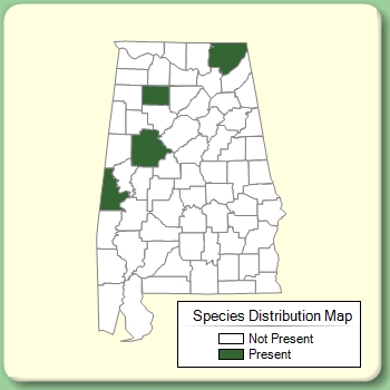 Species Distribution Map