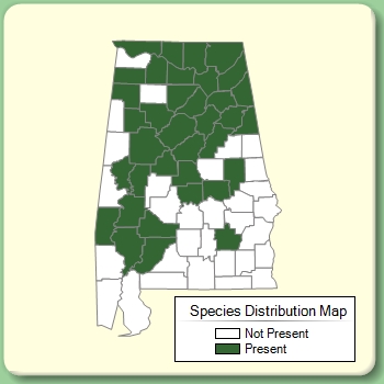 Species Distribution Map
