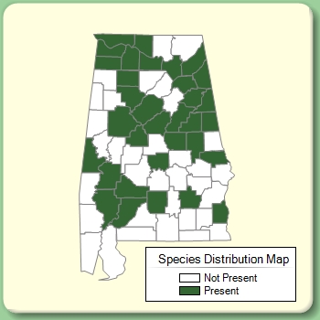 Species Distribution Map