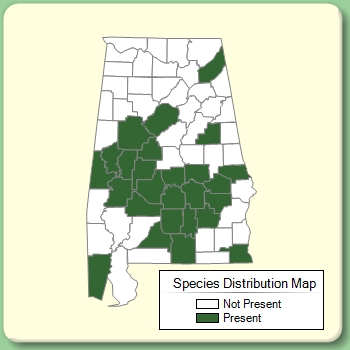 Species Distribution Map